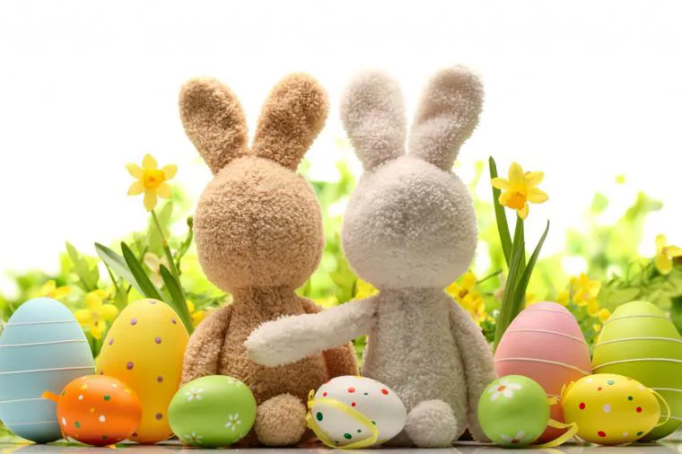 Buona Pasqua dalla pizzeria girò è da tutto il nostro staff