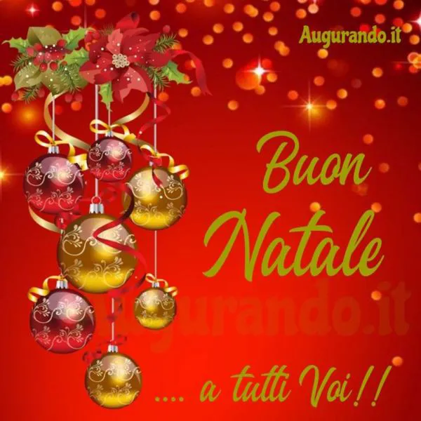 ORARI MESE DICEMBRE E GENNAIO