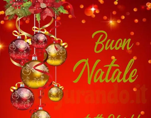 ORARI MESE DICEMBRE E GENNAIO 